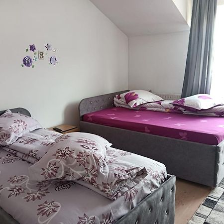 Hotel Casa Emilia Vatra Dornei Exteriér fotografie