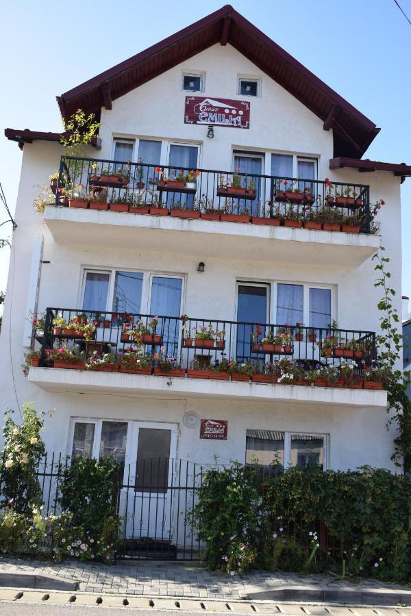 Hotel Casa Emilia Vatra Dornei Exteriér fotografie