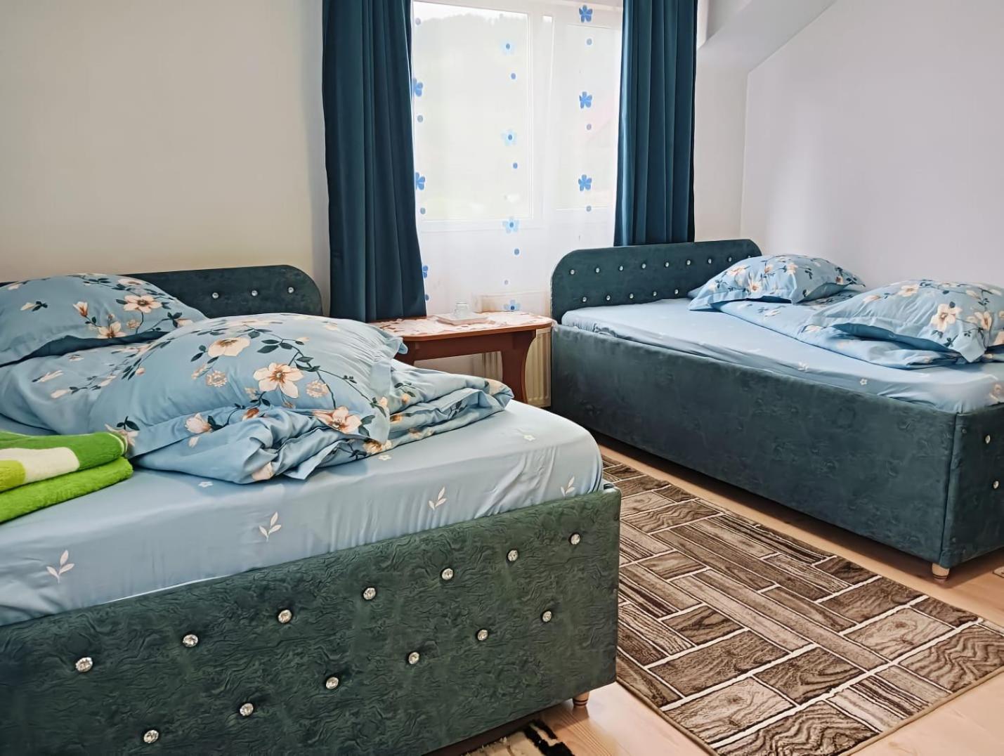 Hotel Casa Emilia Vatra Dornei Exteriér fotografie