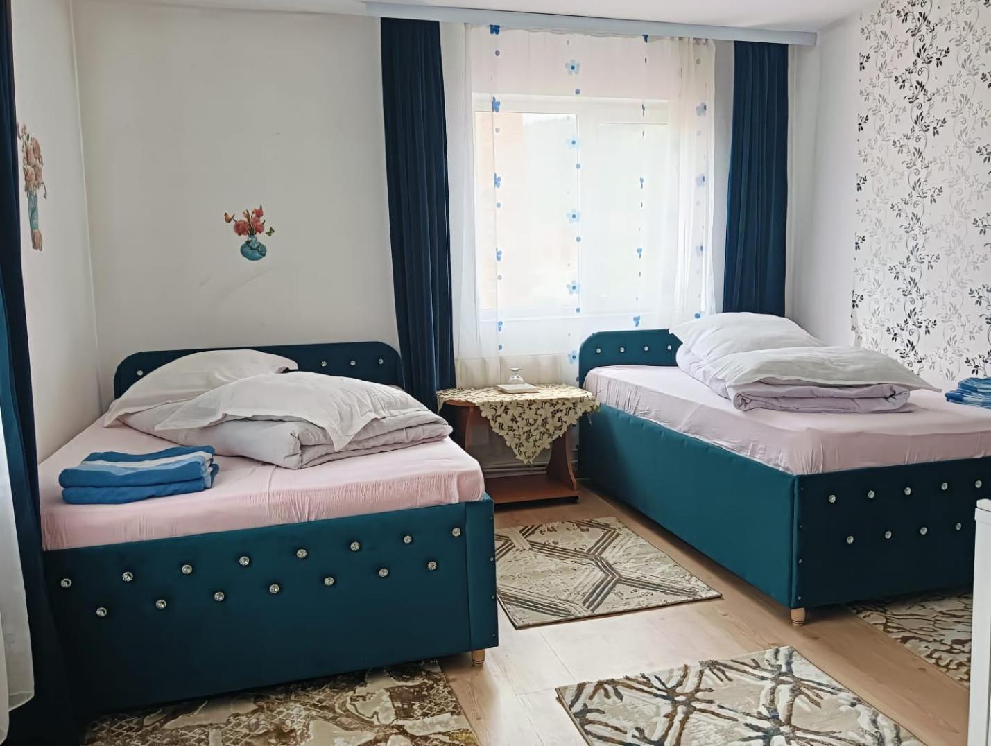 Hotel Casa Emilia Vatra Dornei Exteriér fotografie