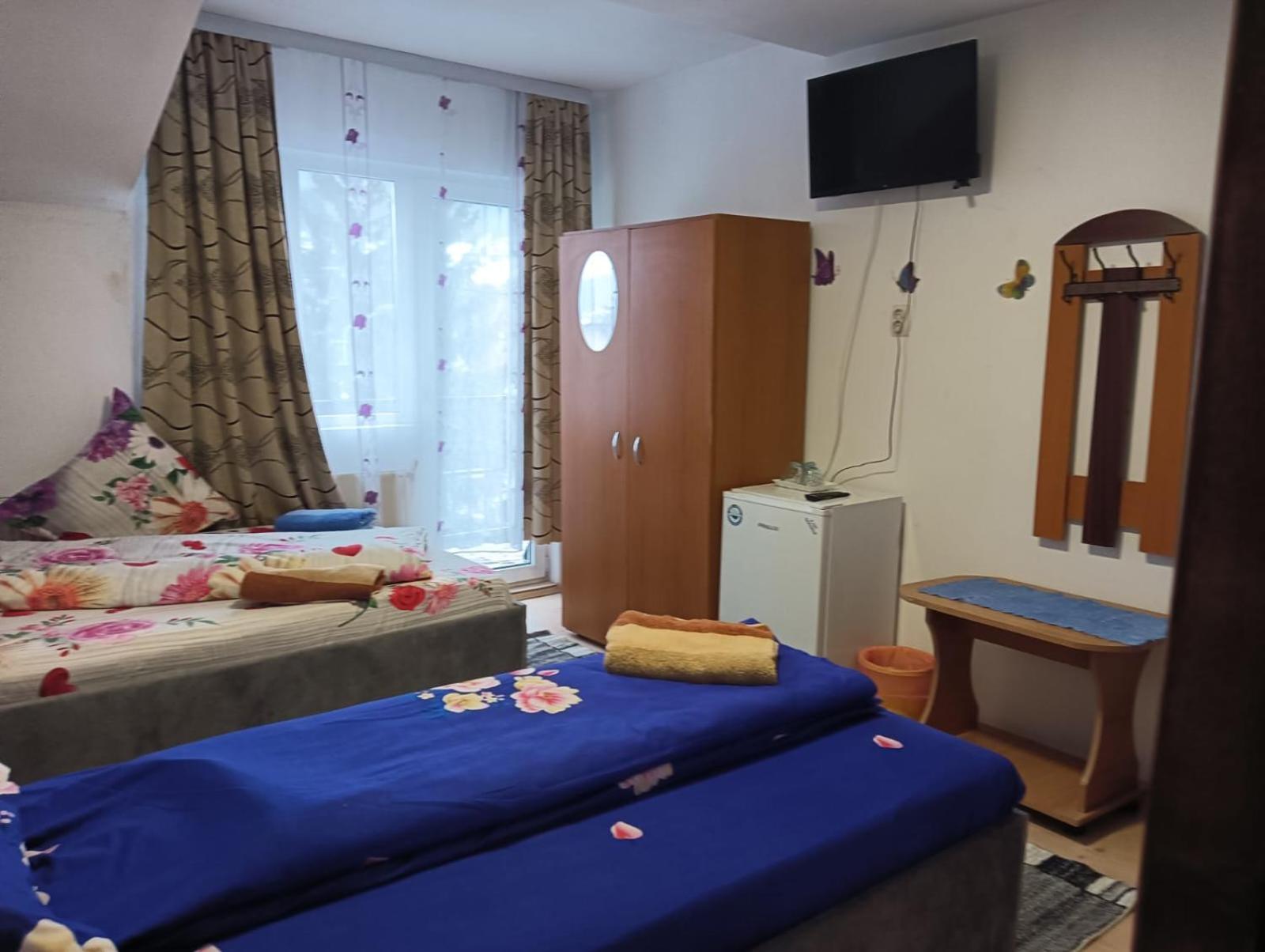 Hotel Casa Emilia Vatra Dornei Exteriér fotografie