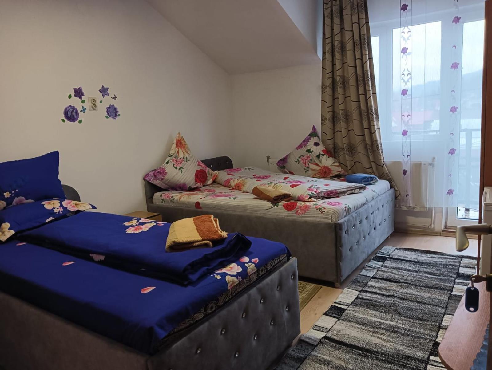 Hotel Casa Emilia Vatra Dornei Exteriér fotografie