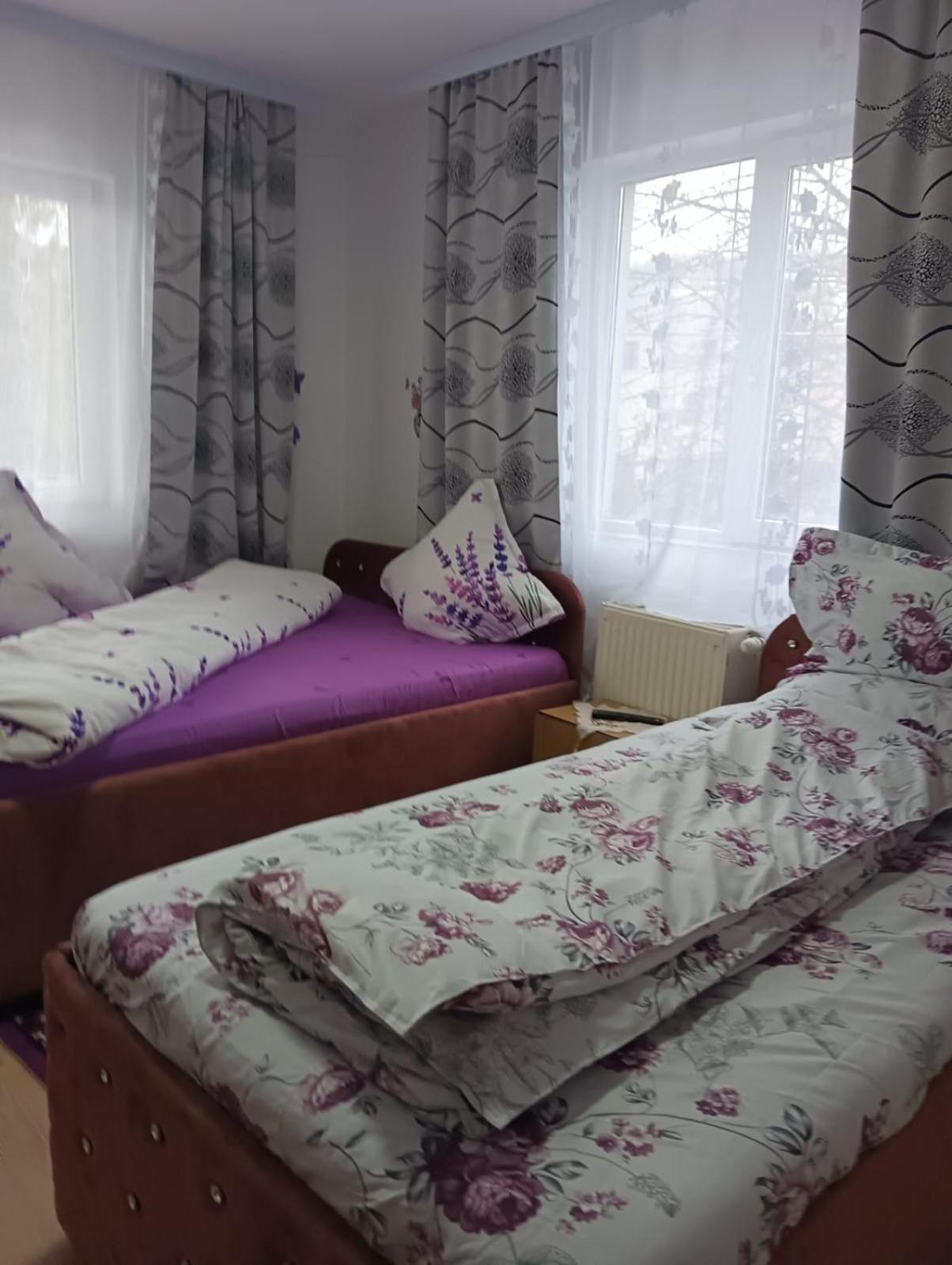 Hotel Casa Emilia Vatra Dornei Pokoj fotografie