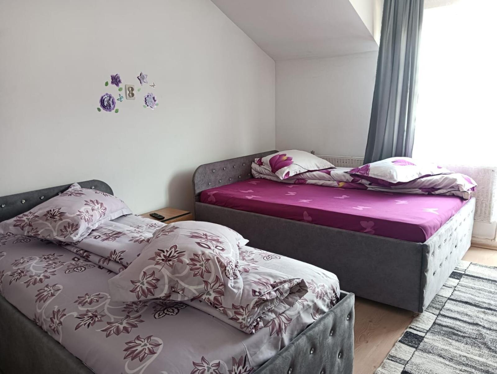 Hotel Casa Emilia Vatra Dornei Exteriér fotografie