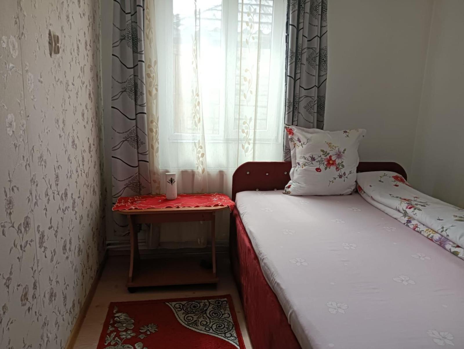 Hotel Casa Emilia Vatra Dornei Exteriér fotografie