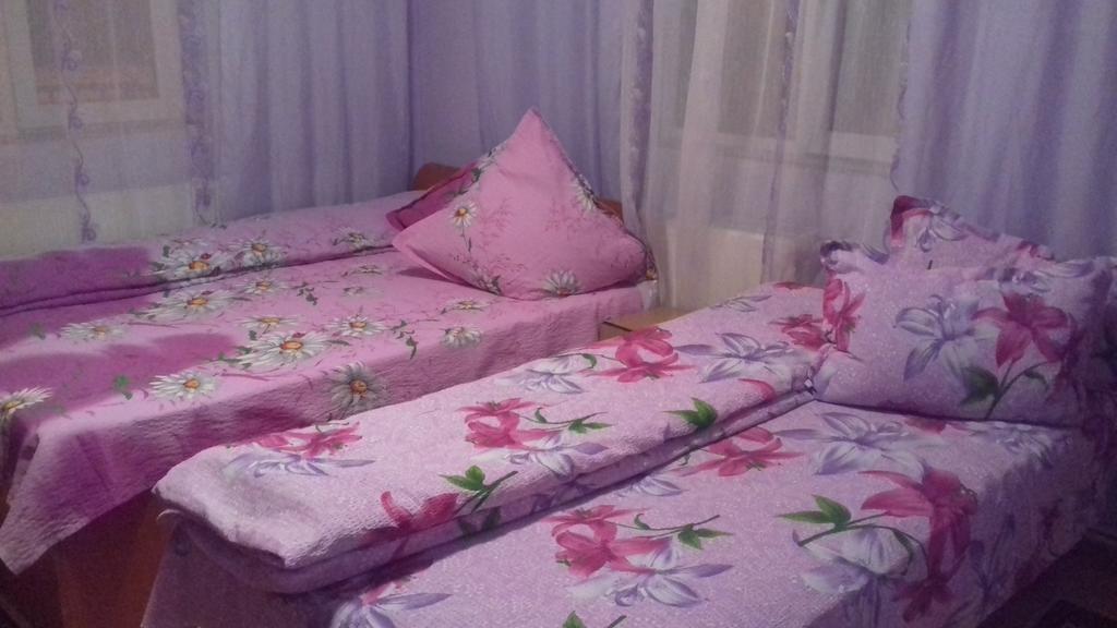Hotel Casa Emilia Vatra Dornei Exteriér fotografie